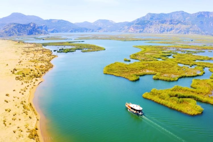 Россиянам напомнили, что ответственность во время поездок за границу нужно брать на себя
