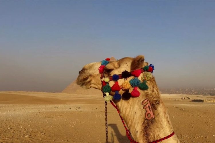 Израиль и Египет не договорились о запуске туристических рейсов