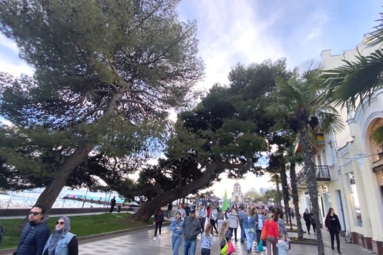 В Ялте решили проблему роста стоимости поездок на такси