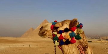 Хватит ли в Египте отелей на всех приглашенных туристов?