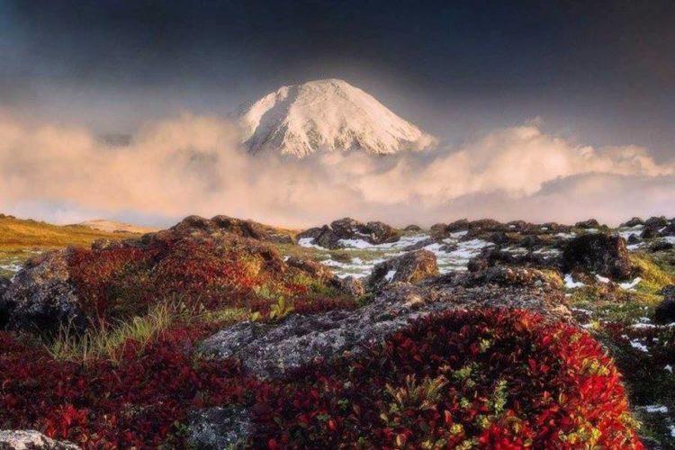 Ещё один регион ужесточает требования для туристов