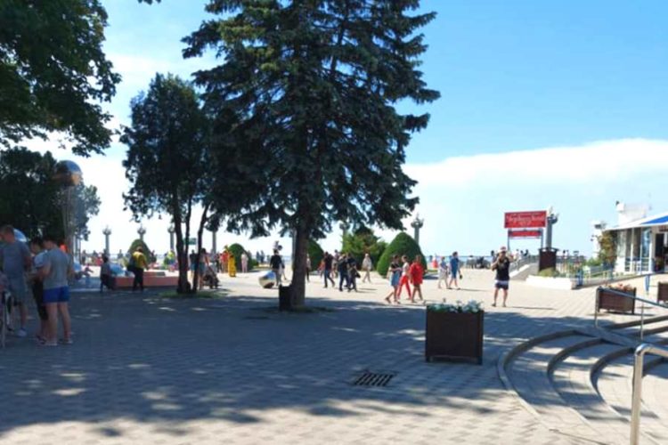 ФАС проверит стоимость анализов на коронавирус в России