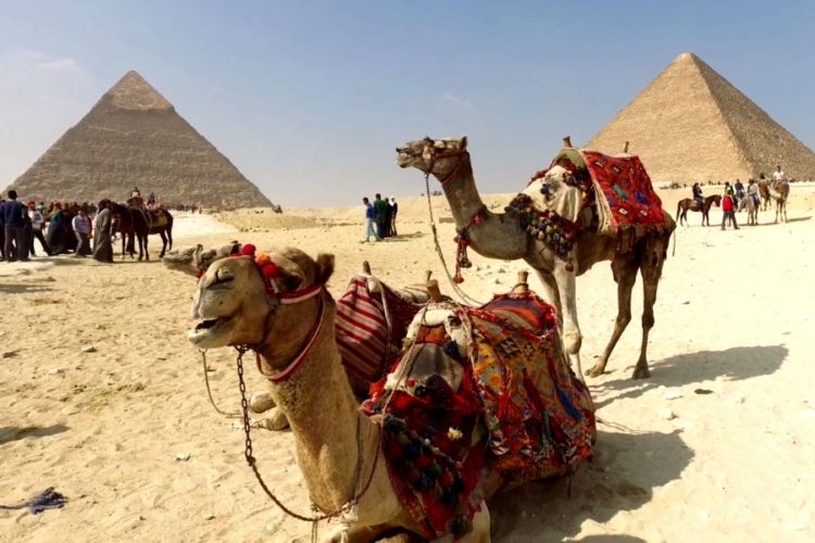 Египет напоминает о мерах поддержки российских авиакомпаний