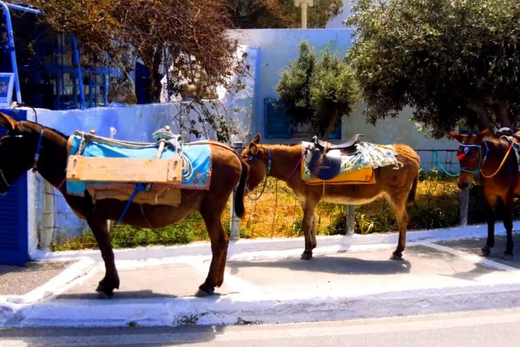 TEZ TOUR запускает летний сезон в Греции и расширяет полетную программу