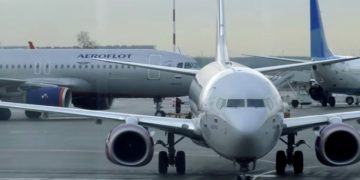 Аэрофлот изменил правила провоза животных