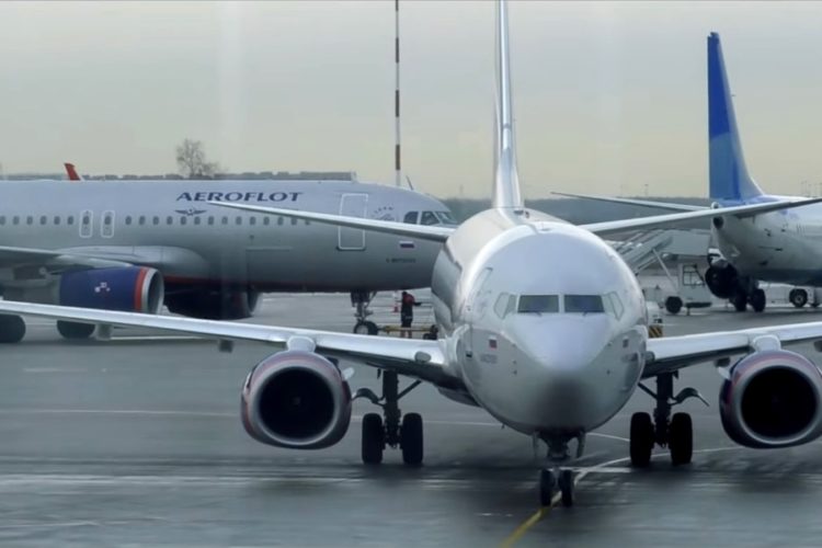 Аэрофлот изменил правила провоза животных