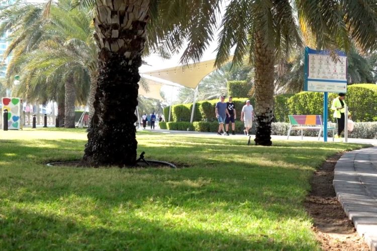 Популярный эмират ОАЭ предлагает прививку от ковида туристам