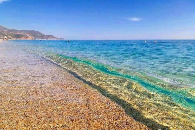 Названы провинции Турции, где наименьшая вероятность заразиться covid-19