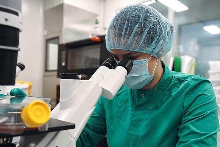 новость 24-07-2021 Бразильский штамм covid выявили в РФ. Чем это обернется для туризма?