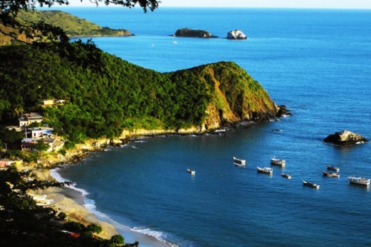 новость 27-07-2021 Туристический оператор Пегас Туристик запускает чартеры в Венесуэлу