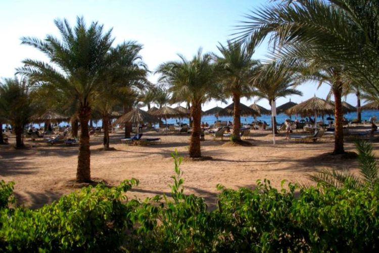 Туристы могут не узнать курорты Египта после шестилетнего перерыва