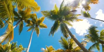 Рейсы из России в Доминикану могут восстановиться в сентябре