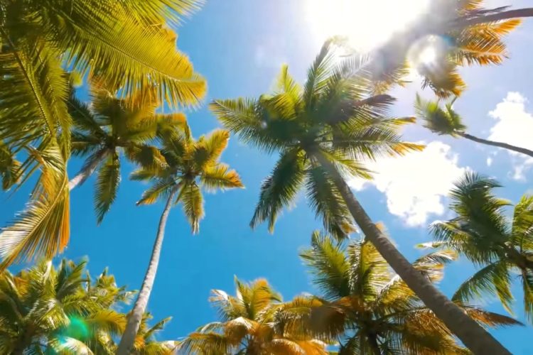 Рейсы из России в Доминикану могут восстановиться в сентябре