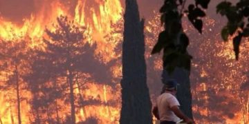 Туристы начали паниковать из-за пожаров в Турции