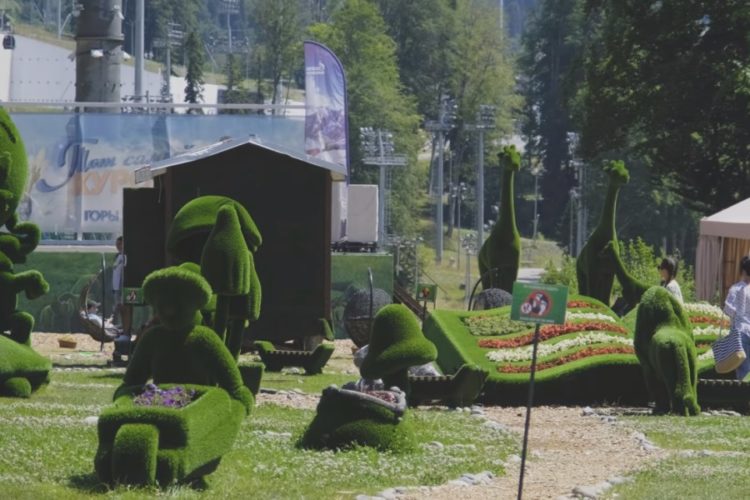 Инициируется включение медстраховки в туры по России