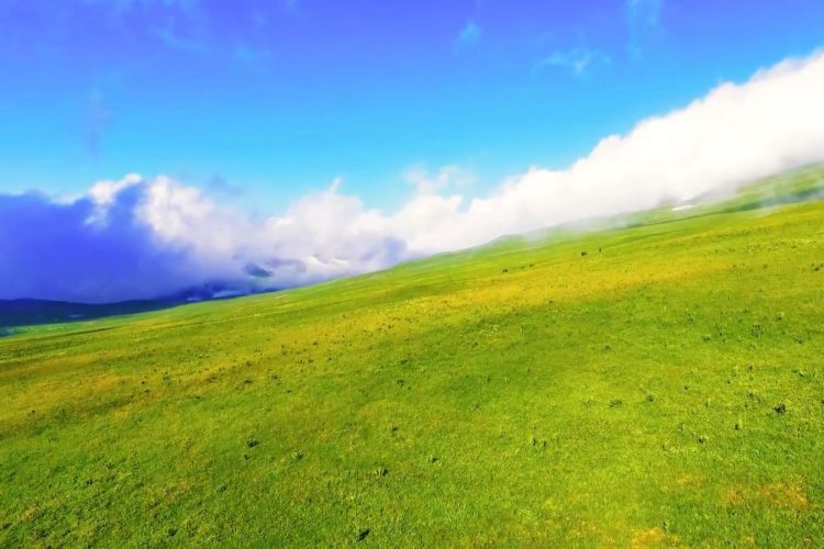 Еще один регион не удастся посмотреть без сертификата вакцинации