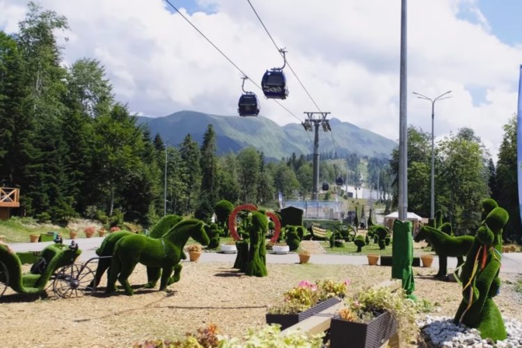 Туроператоры: Кубань пролетела с летним сезоном