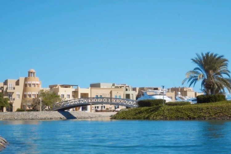 Стали известны подробности визита российских телевизионщиков в Египет