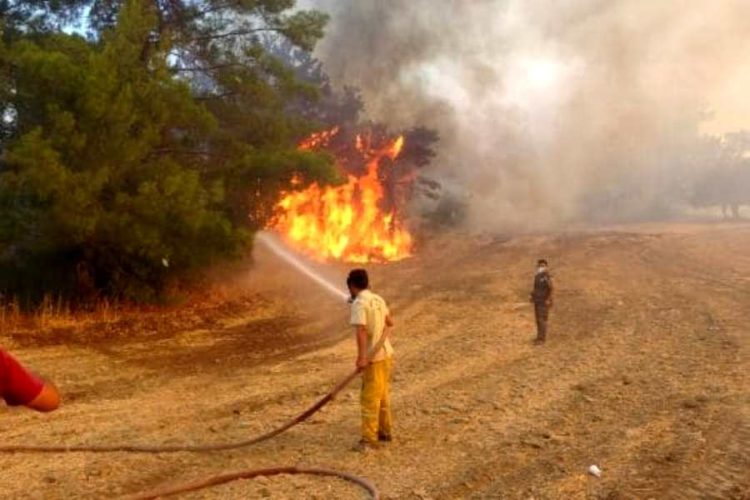 Российских туристов предупредили о возможной эвакуации из турецких курортов