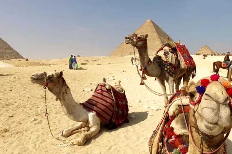 Какая авиакомпания полетит из России на курорты Египта первой?