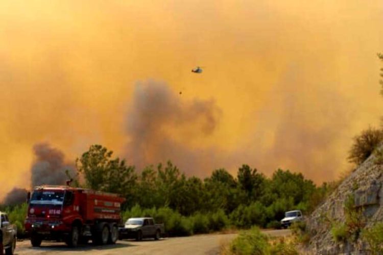 МИД России прокомментировал возможную эвакуацию россиян из Турции