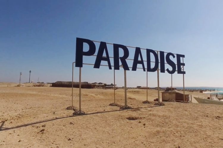 Чартерные рейсы в Египет могут полететь только из одного столичного аэропорта