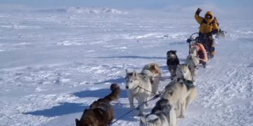 Чукотка предлагает увеличить компенсацию за отдых туристов