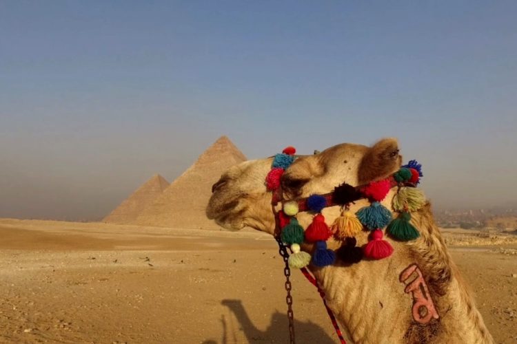 Пассажиры могут удобнее добраться на курорты Египта из Санкт-Петербурга