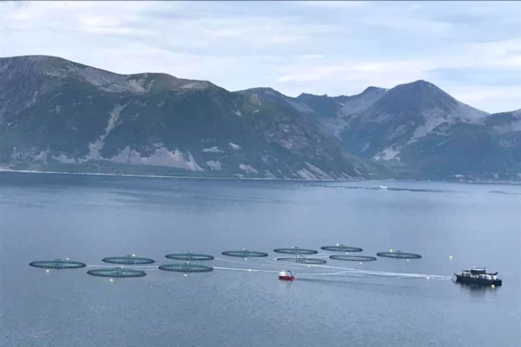 Популярное среди россиян государство продлило запрет на прием туристов