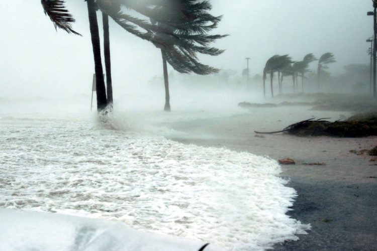 Стало известно, каким будет сезон ураганов в Карибском бассейне