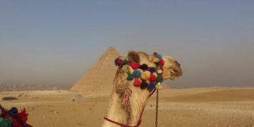 Делегация из РФ в Египте: решение о чартерах может появиться до ее возвращения