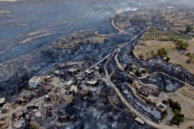 Министр туризма Турции отчитался о тушении пожара в Анталии