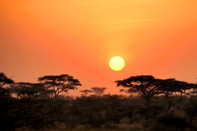 Танзания возвращается на туррынок с новыми силами