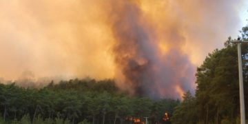 новость 02-08-2021 В Турции продолжают гореть леса. Новый очаг возгорания появился близ Бодрума