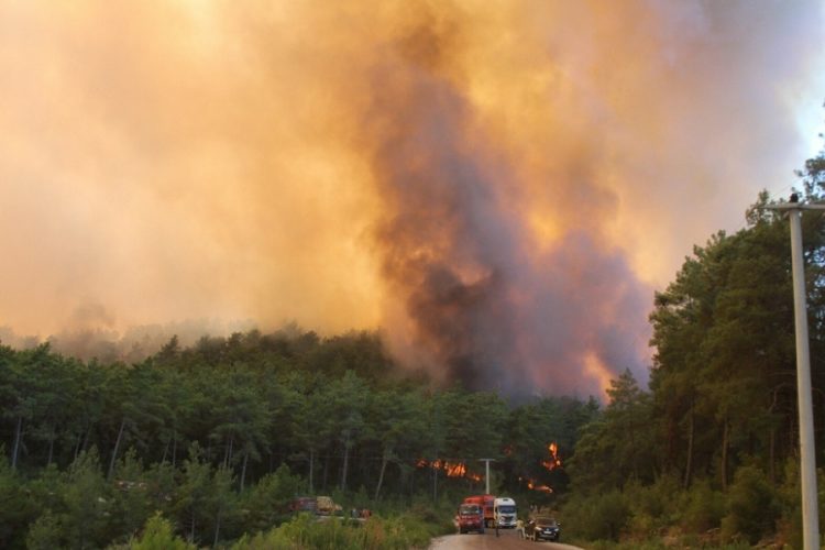 новость 02-08-2021 В Турции продолжают гореть леса. Новый очаг возгорания появился близ Бодрума