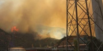 новость 07-08-2021Пожары в Турции несут новую смертельную опасность