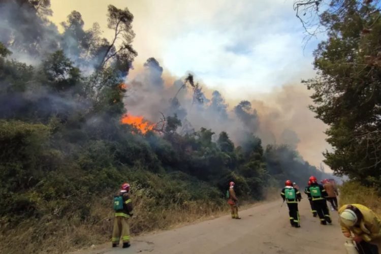 новость 09-08-2021 Севернее Афин эвакуировали тысячи местных жителей и туристов