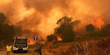 новость 18-08-2021 Пожары добрались до Италии: в огне леса Сицилии и Калабрии