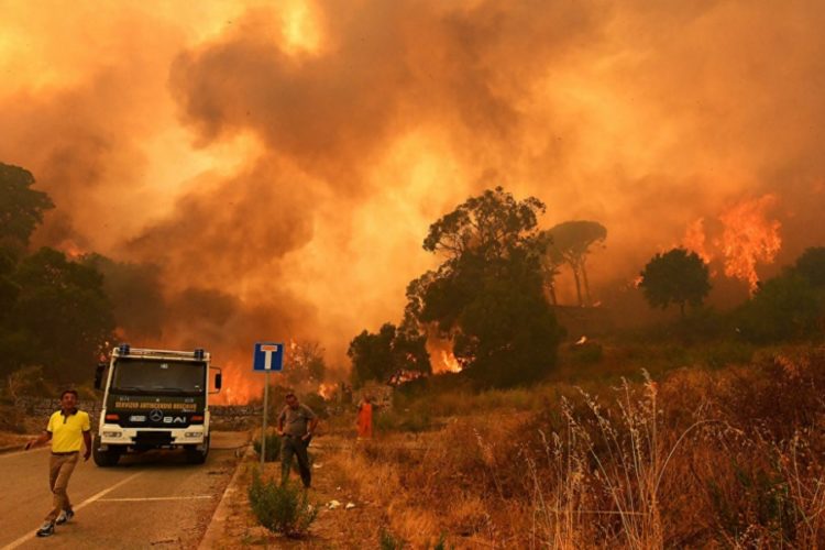 новость 18-08-2021 Пожары добрались до Италии: в огне леса Сицилии и Калабрии