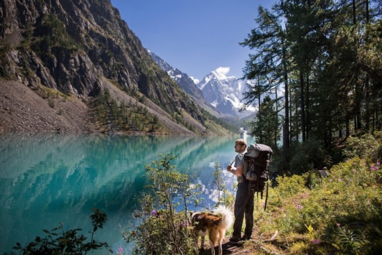 новость 28-08-2021 Акция кешбэка подходит к концу. Результаты продаж не радуют