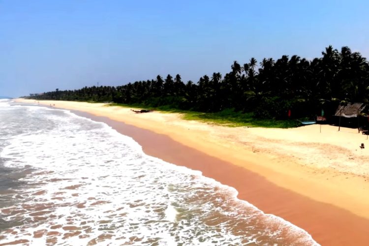 Два билета по цене одного - россиянам предложат выгодно улететь на Шри-Ланку