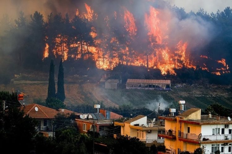 Туристов попросили приехать в пострадавшие от пожаров провинции Турции