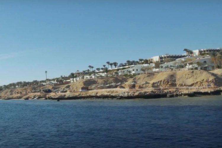 Expedia подтверждает изменения в поведении классических туристов