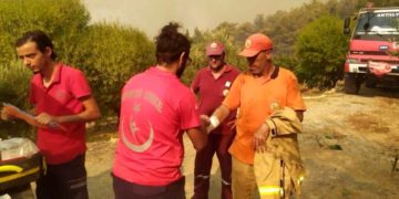 Актуальная информация по пожарам в Турции на 3 августа