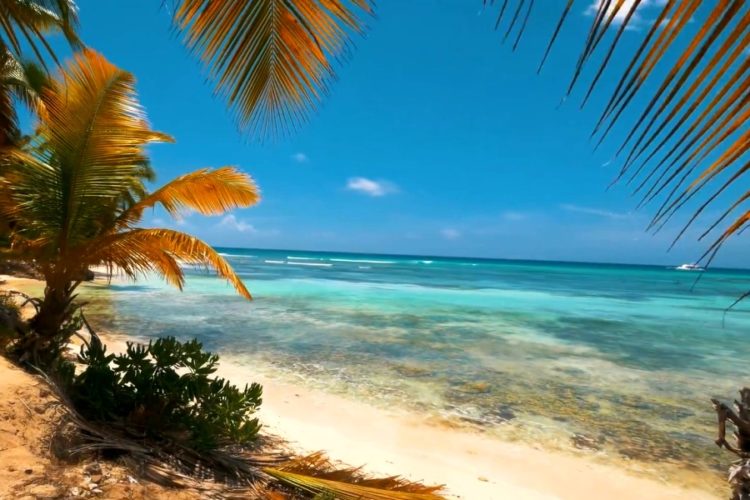 С Доминиканой будет сотрудничать больше российских туроператоров