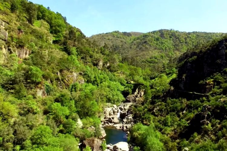 Португалия и Испания могут погрузиться в лесные пожары