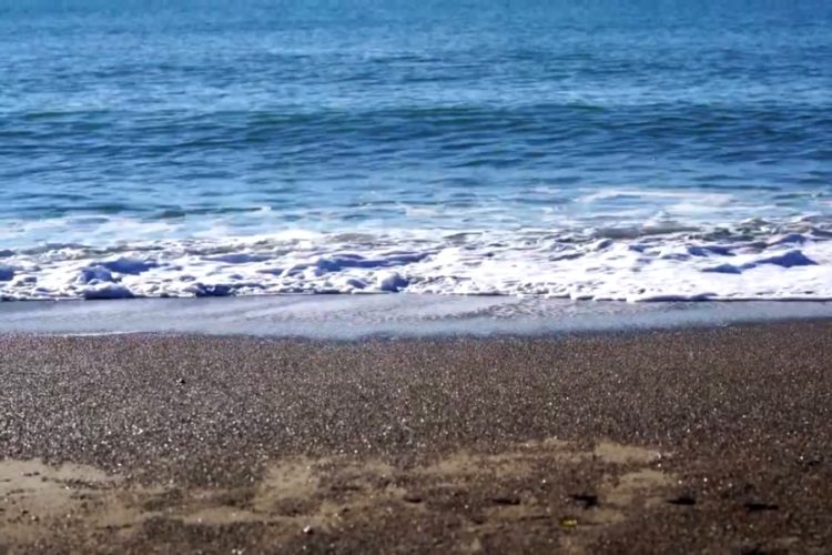 Турбизнес предлагает продлить текущий этап кэшбэка