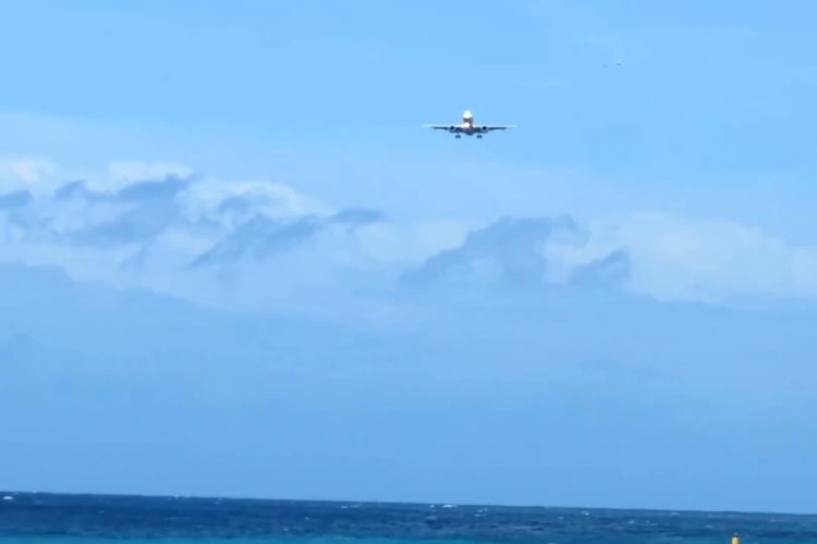 Туристов повезут из курортов Египта к популярным достопримечательностям на самолете