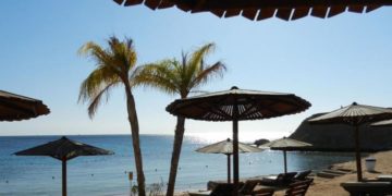 Где тест на коронавирус дешевле - в Европе или России?