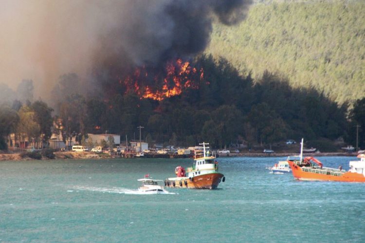 Пожары в Турции расширяют место для отелей?